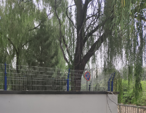 北京空间研究院项目.png